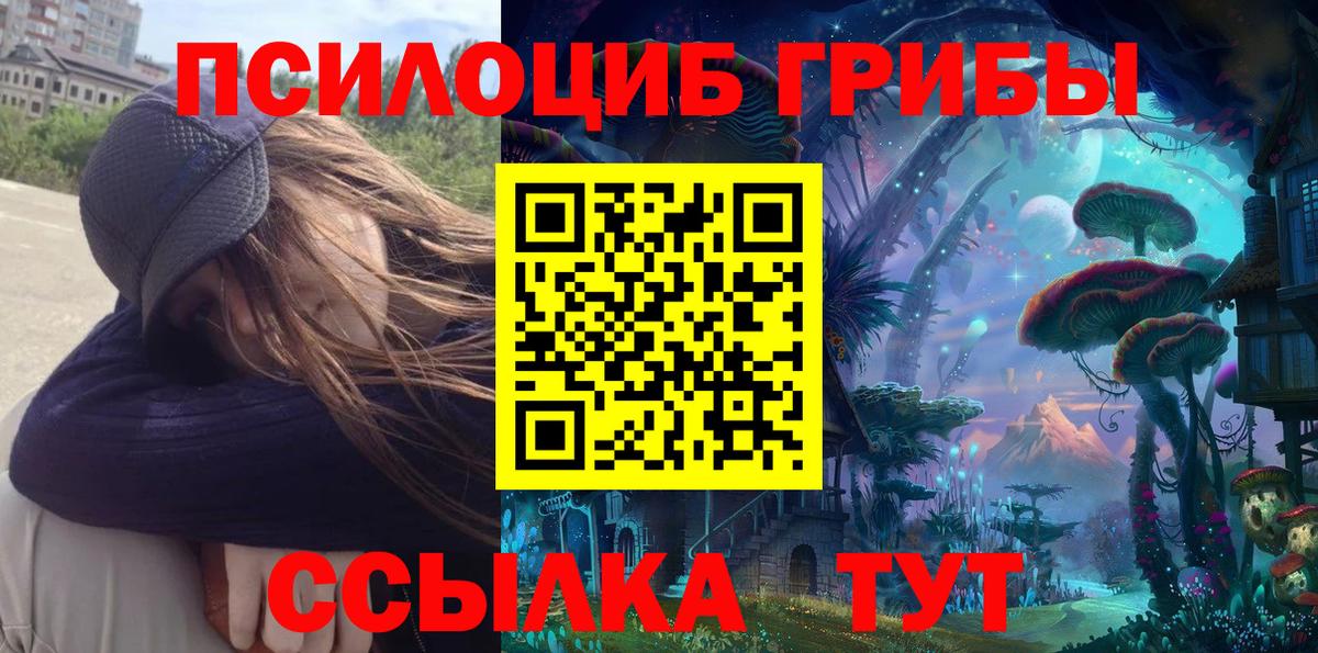 Псилоцибиновые грибы MAGIC MUSHROOMS Тавда